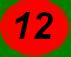 Đại đội 12