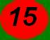 Đại đội 15